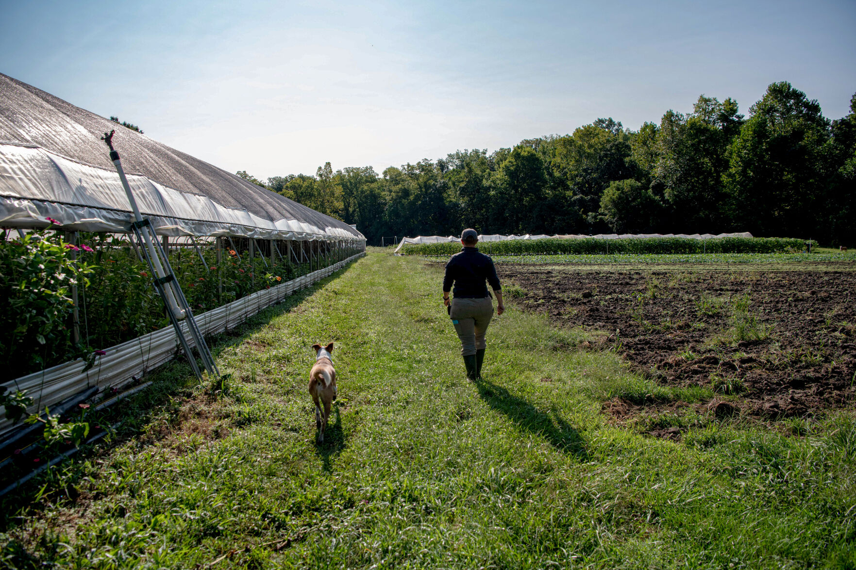 Buster, one of three four-legged farm employees, trails behind Graznak